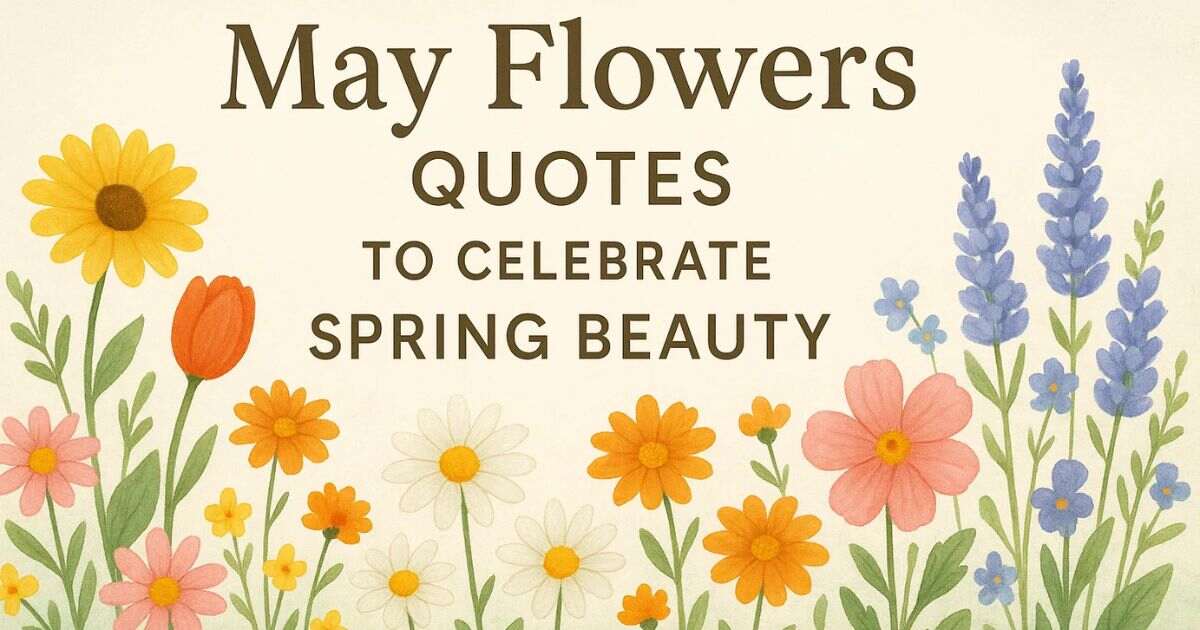 Best 45+ May Flowers Quotes to Celebrate Spring Beauty